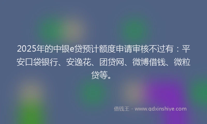 2025年的中银e贷预计额度申请审核不过有：平安口袋银行、安逸花、团贷网、微博借钱、微粒贷等。