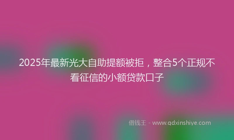2025年最新光大自助提额被拒，整合5个正规不看征信的小额贷款口子
