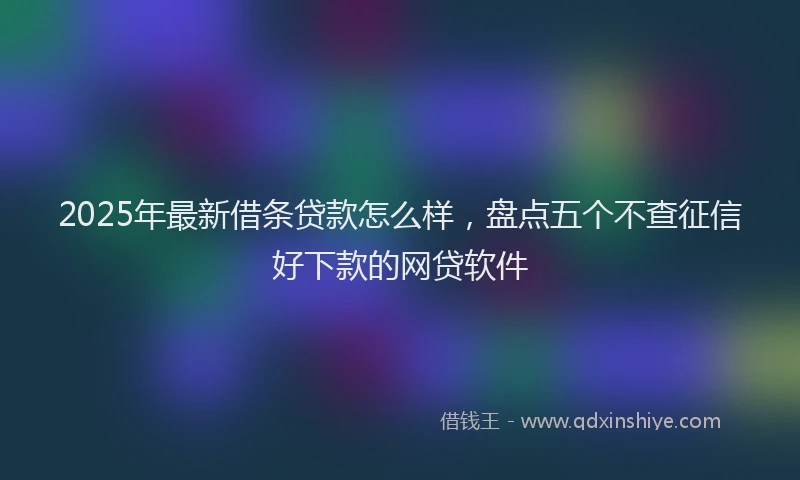 2025年最新借条贷款怎么样，盘点五个不查征信好下款的网贷软件