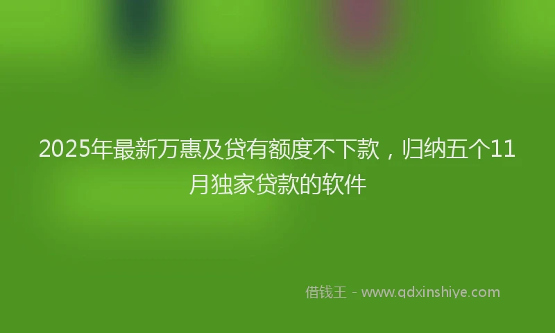 2025年最新万惠及贷有额度不下款，归纳五个11月独家贷款的软件