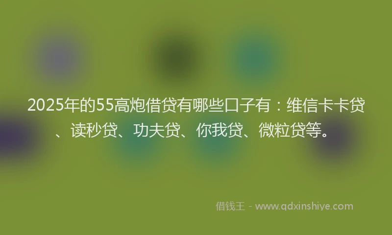 2025年的55高炮借贷有哪些口子有：维信卡卡贷、读秒贷、功夫贷、你我贷、微粒贷等。