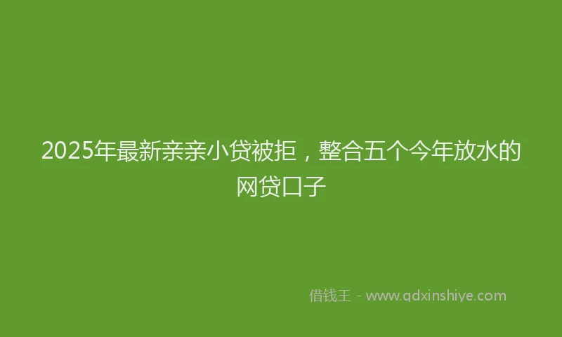 2025年最新亲亲小贷被拒，整合五个今年放水的网贷口子