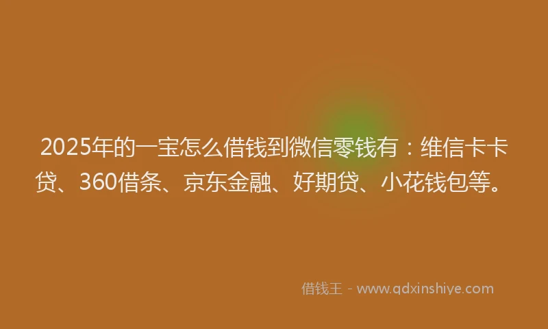 2025年的一宝怎么借钱到微信零钱有：维信卡卡贷、360借条、京东金融、好期贷、小花钱包等。