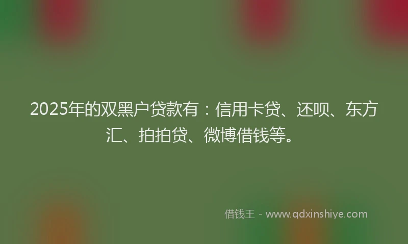 2025年的双黑户贷款有：信用卡贷、还呗、东方汇、拍拍贷、微博借钱等。