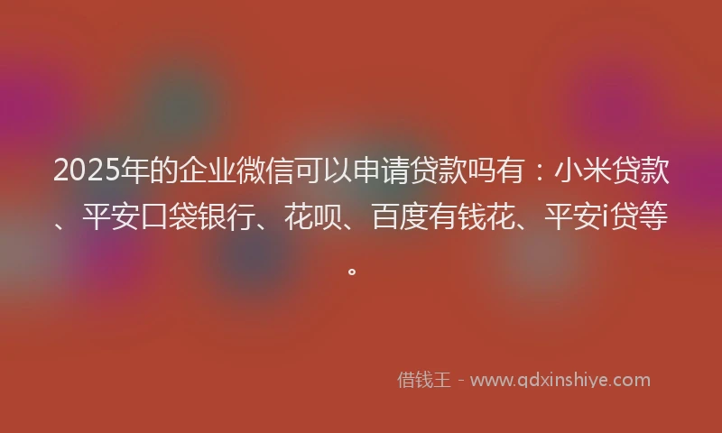 2025年的企业微信可以申请贷款吗有：小米贷款、平安口袋银行、花呗、百度有钱花、平安i贷等。