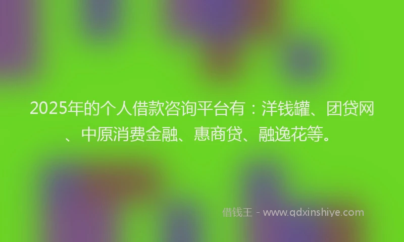 2025年的个人借款咨询平台有：洋钱罐、团贷网、中原消费金融、惠商贷、融逸花等。