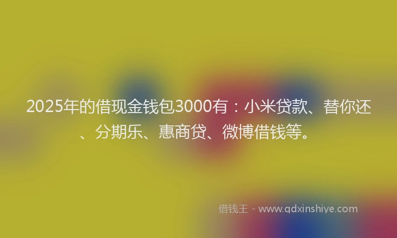 2025年的借现金钱包3000有：小米贷款、替你还、分期乐、惠商贷、微博借钱等。