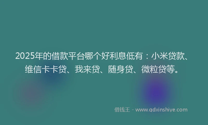 2025年的借款平台哪个好利息低有：小米贷款、维信卡卡贷、我来贷、随身贷、微粒贷等。
