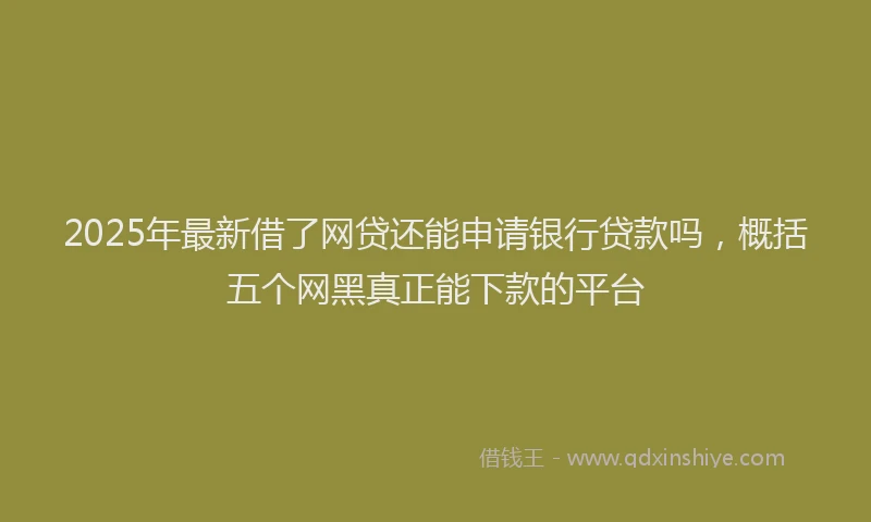 2025年最新借了网贷还能申请银行贷款吗，概括五个网黑真正能下款的平台