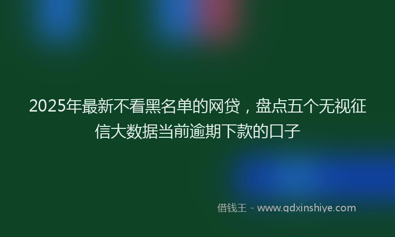 2025年最新不看黑名单的网贷，盘点五个无视征信大数据当前逾期下款的口子