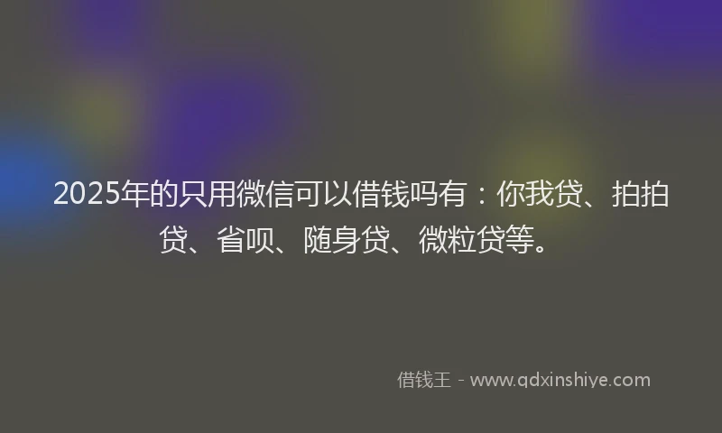 2025年的只用微信可以借钱吗有：你我贷、拍拍贷、省呗、随身贷、微粒贷等。