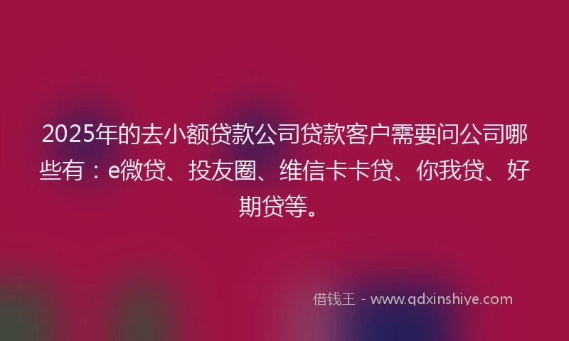 2025年的去小额贷款公司贷款客户需要问公司哪些有：e微贷、投友圈、维信卡卡贷、你我贷、好期贷等。
