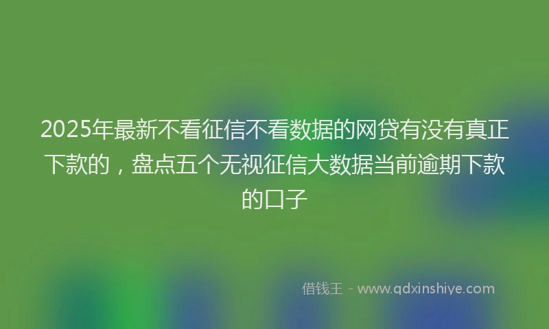 2025年最新不看征信不看数据的网贷有没有真正下款的，盘点五个无视征信大数据当前逾期下款的口子