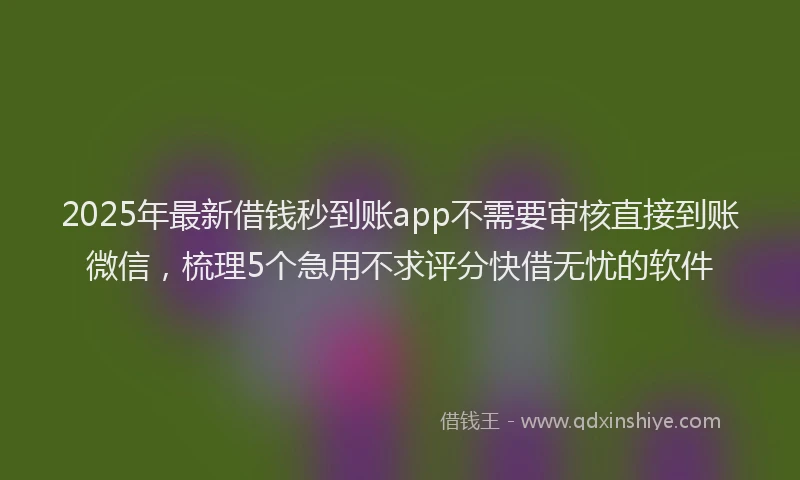 2025年最新借钱秒到账app不需要审核直接到账微信，梳理5个急用不求评分快借无忧的软件