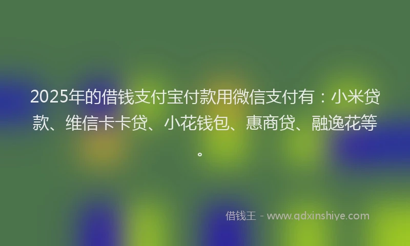 2025年的借钱支付宝付款用微信支付有：小米贷款、维信卡卡贷、小花钱包、惠商贷、融逸花等。