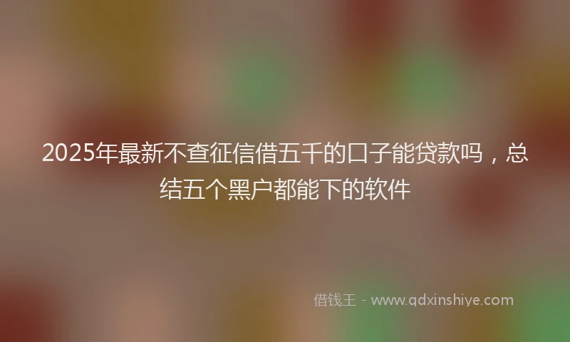 2025年最新不查征信借五千的口子能贷款吗，总结五个黑户都能下的软件