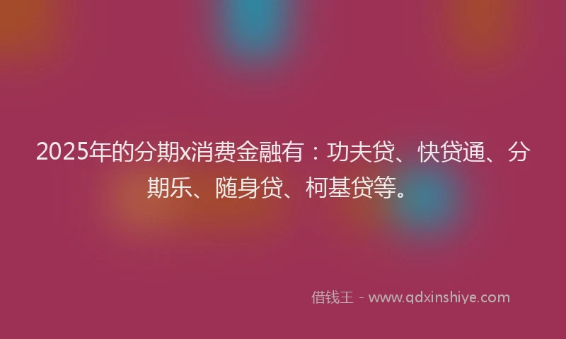 2025年的分期x消费金融有：功夫贷、快贷通、分期乐、随身贷、柯基贷等。