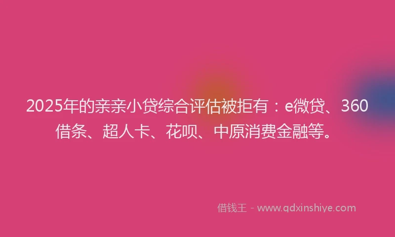 2025年的亲亲小贷综合评估被拒有：e微贷、360借条、超人卡、花呗、中原消费金融等。