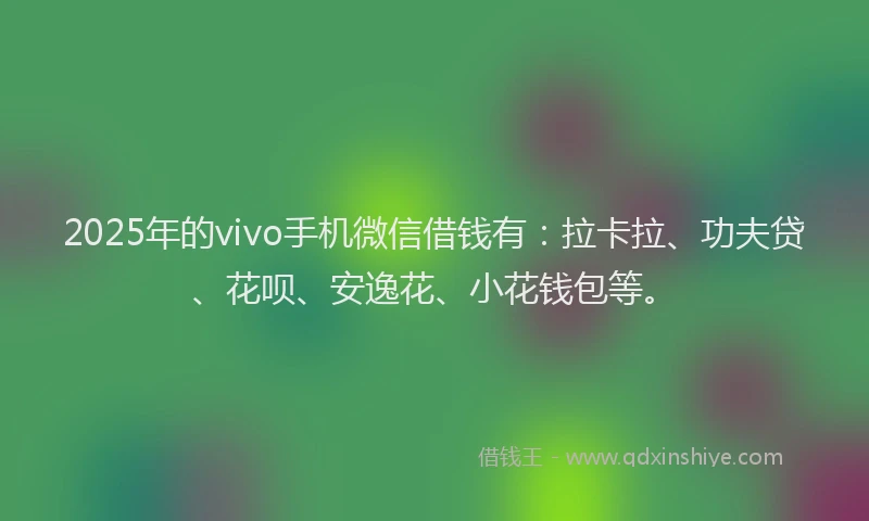 2025年的vivo手机微信借钱有：拉卡拉、功夫贷、花呗、安逸花、小花钱包等。