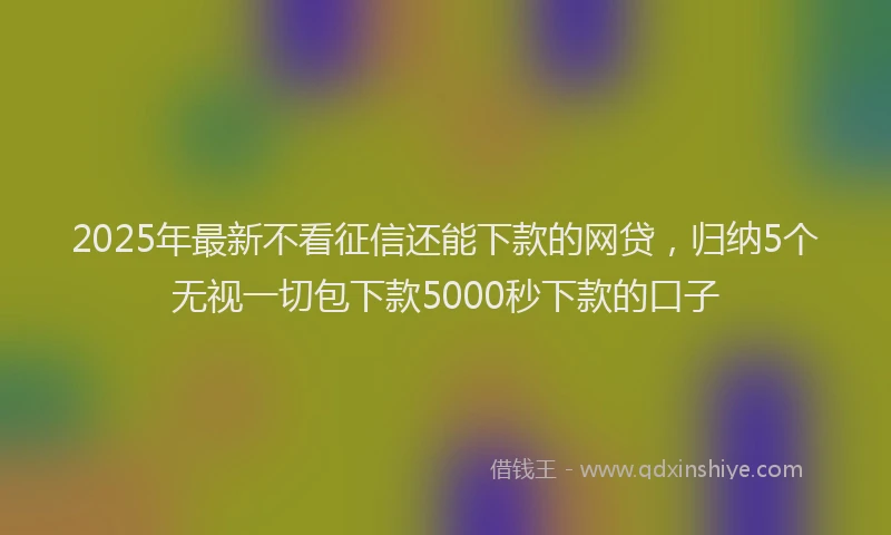 2025年最新不看征信还能下款的网贷，归纳5个无视一切包下款5000秒下款的口子