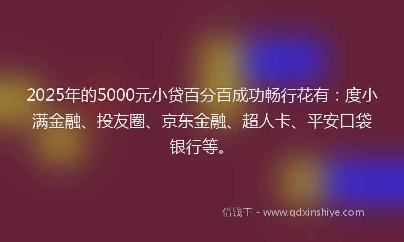 2025年的5000元小贷百分百成功畅行花有：度小满金融、投友圈、京东金融、超人卡、平安口袋银行等。