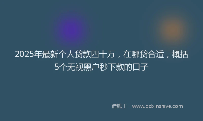 2025年最新个人贷款四十万，在哪贷合适，概括5个无视黑户秒下款的口子