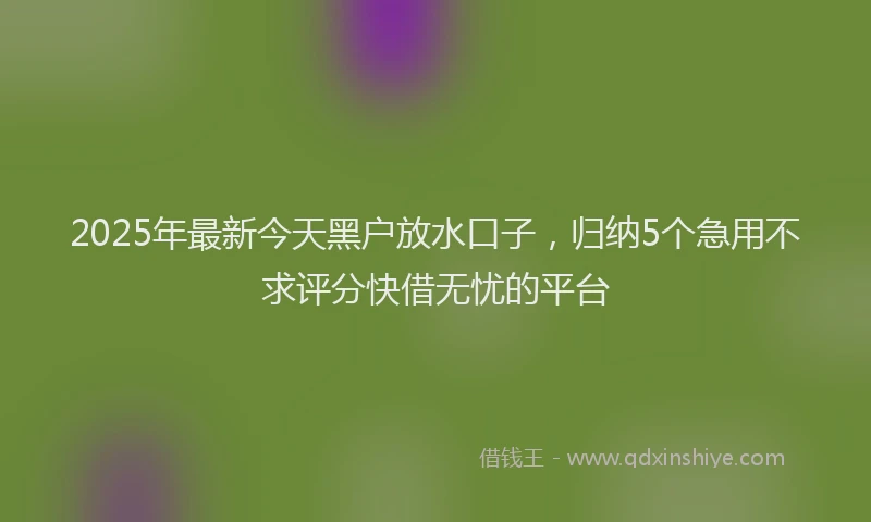 2025年最新今天黑户放水口子，归纳5个急用不求评分快借无忧的平台