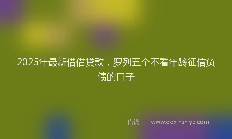 2025年最新借借贷款，罗列五个不看年龄征信负债的口子