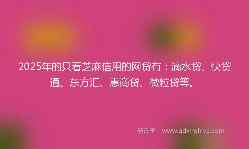 2025年的只看芝麻信用的网贷有：滴水贷、快贷通、东方汇、惠商贷、微粒贷等。
