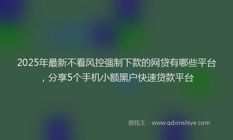 2025年最新不看风控强制下款的网贷有哪些平台，分享5个手机小额黑户快速贷款平台
