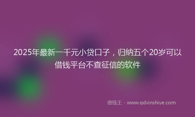 2025年最新一千元小贷口子，归纳五个20岁可以借钱平台不查征信的软件