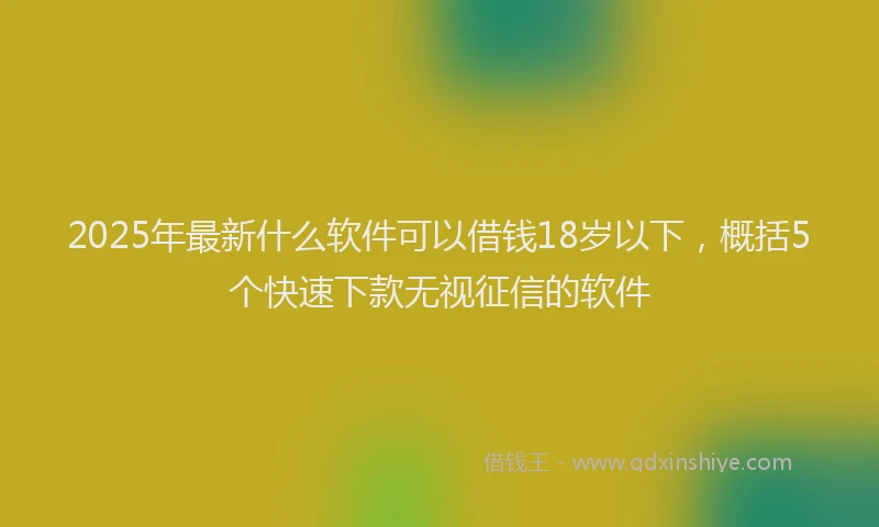 2025年最新什么软件可以借钱18岁以下，概括5个快速下款无视征信的软件