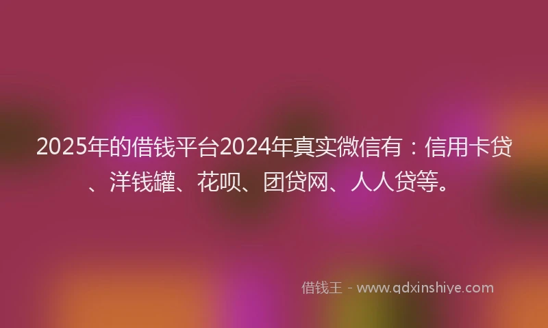 2025年的借钱平台2024年真实微信有：信用卡贷、洋钱罐、花呗、团贷网、人人贷等。