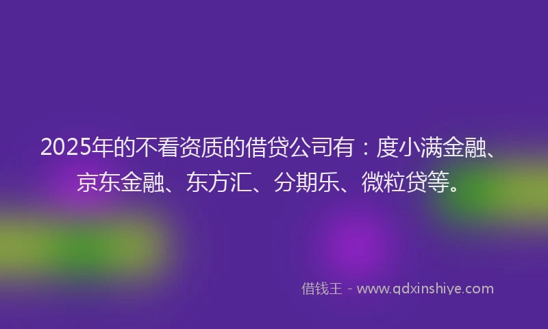 2025年的不看资质的借贷公司有：度小满金融、京东金融、东方汇、分期乐、微粒贷等。