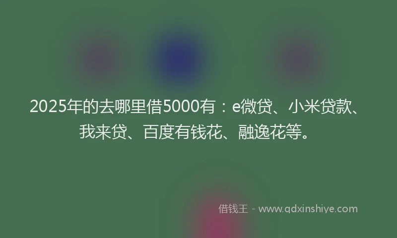 2025年的去哪里借5000有：e微贷、小米贷款、我来贷、百度有钱花、融逸花等。