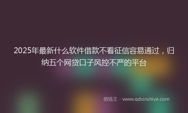 2025年最新什么软件借款不看征信容易通过，归纳五个网贷口子风控不严的平台