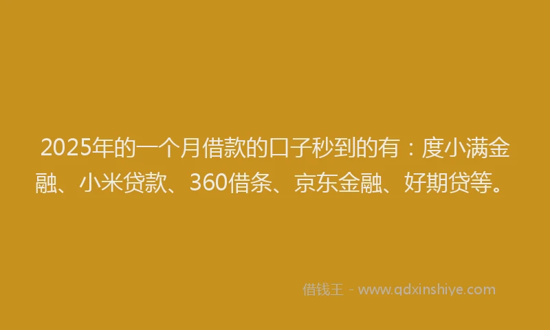 2025年的一个月借款的口子秒到的有：度小满金融、小米贷款、360借条、京东金融、好期贷等。