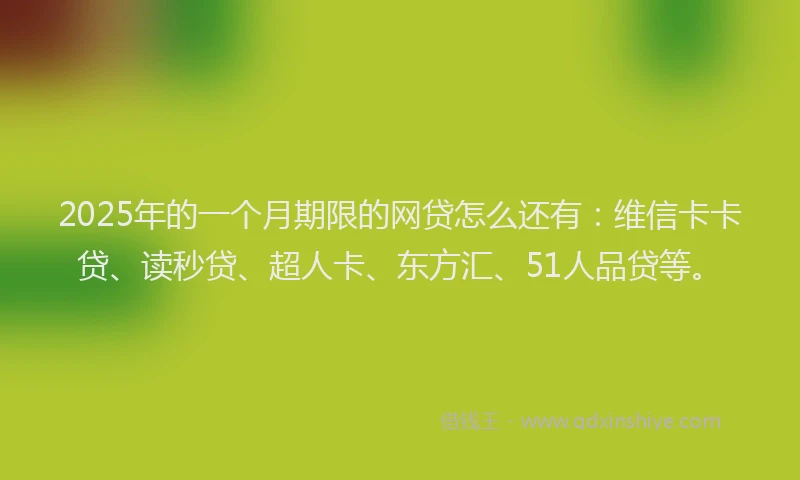 2025年的一个月期限的网贷怎么还有：维信卡卡贷、读秒贷、超人卡、东方汇、51人品贷等。