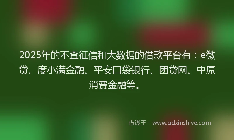 2025年的不查征信和大数据的借款平台有：e微贷、度小满金融、平安口袋银行、团贷网、中原消费金融等。