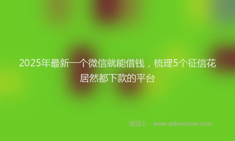 2025年最新一个微信就能借钱，梳理5个征信花居然都下款的平台
