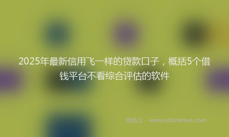 2025年最新信用飞一样的贷款口子，概括5个借钱平台不看综合评估的软件