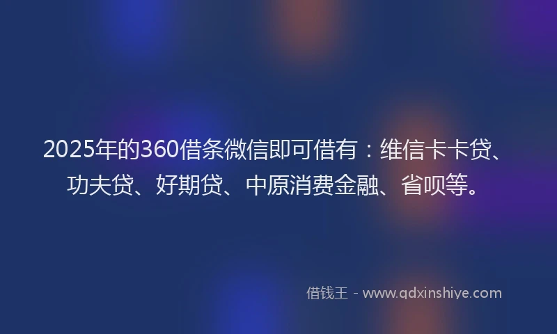 2025年的360借条微信即可借有：维信卡卡贷、功夫贷、好期贷、中原消费金融、省呗等。