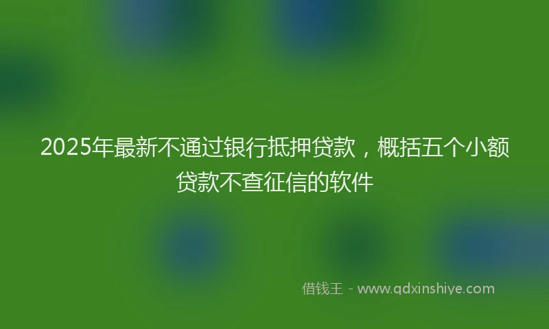 2025年最新不通过银行抵押贷款，概括五个小额贷款不查征信的软件