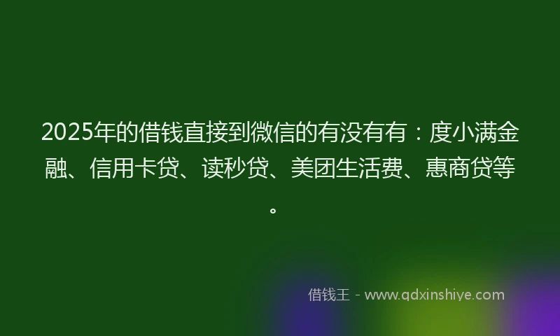 2025年的借钱直接到微信的有没有有：度小满金融、信用卡贷、读秒贷、美团生活费、惠商贷等。