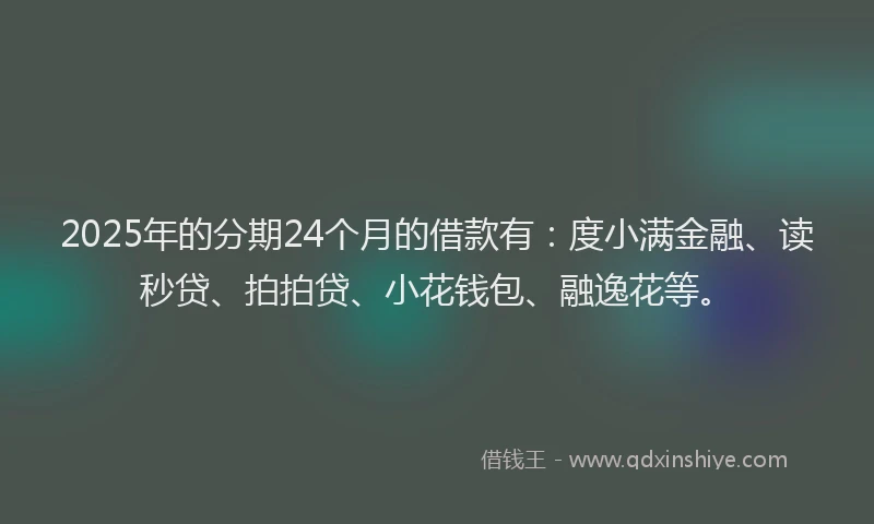 2025年的分期24个月的借款有：度小满金融、读秒贷、拍拍贷、小花钱包、融逸花等。