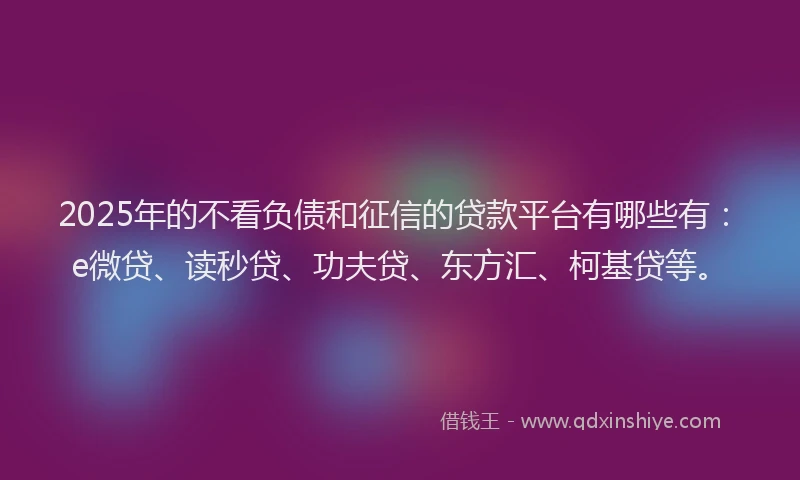 2025年的不看负债和征信的贷款平台有哪些有：e微贷、读秒贷、功夫贷、东方汇、柯基贷等。