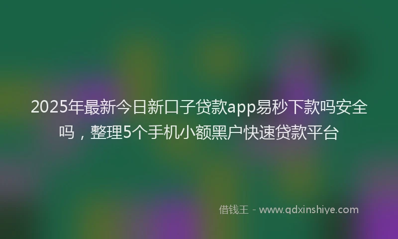 2025年最新今日新口子贷款app易秒下款吗安全吗，整理5个手机小额黑户快速贷款平台