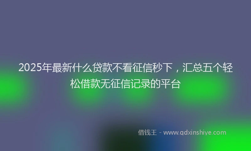 2025年最新什么贷款不看征信秒下，汇总五个轻松借款无征信记录的平台