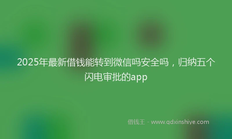 2025年最新借钱能转到微信吗安全吗，归纳五个闪电审批的app