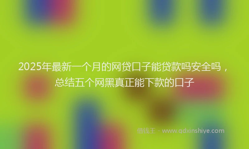 2025年最新一个月的网贷口子能贷款吗安全吗，总结五个网黑真正能下款的口子